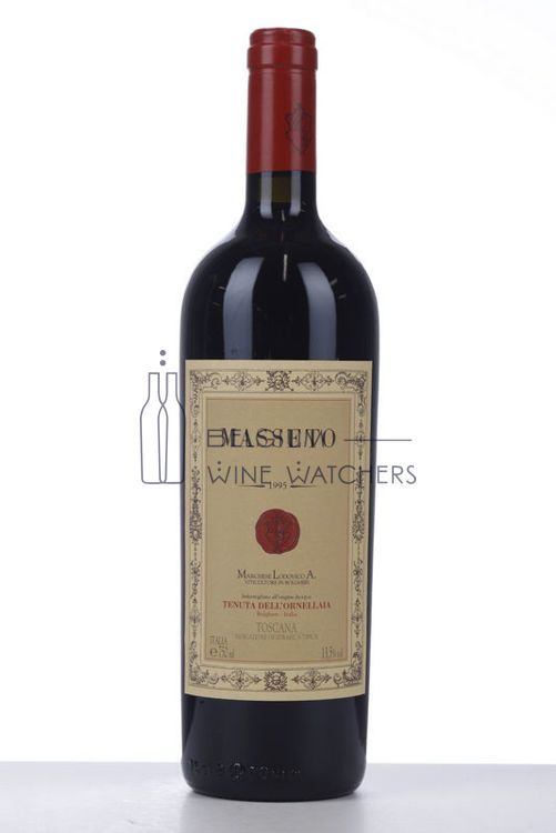 Afbeeldingen van 1995 MASSETO